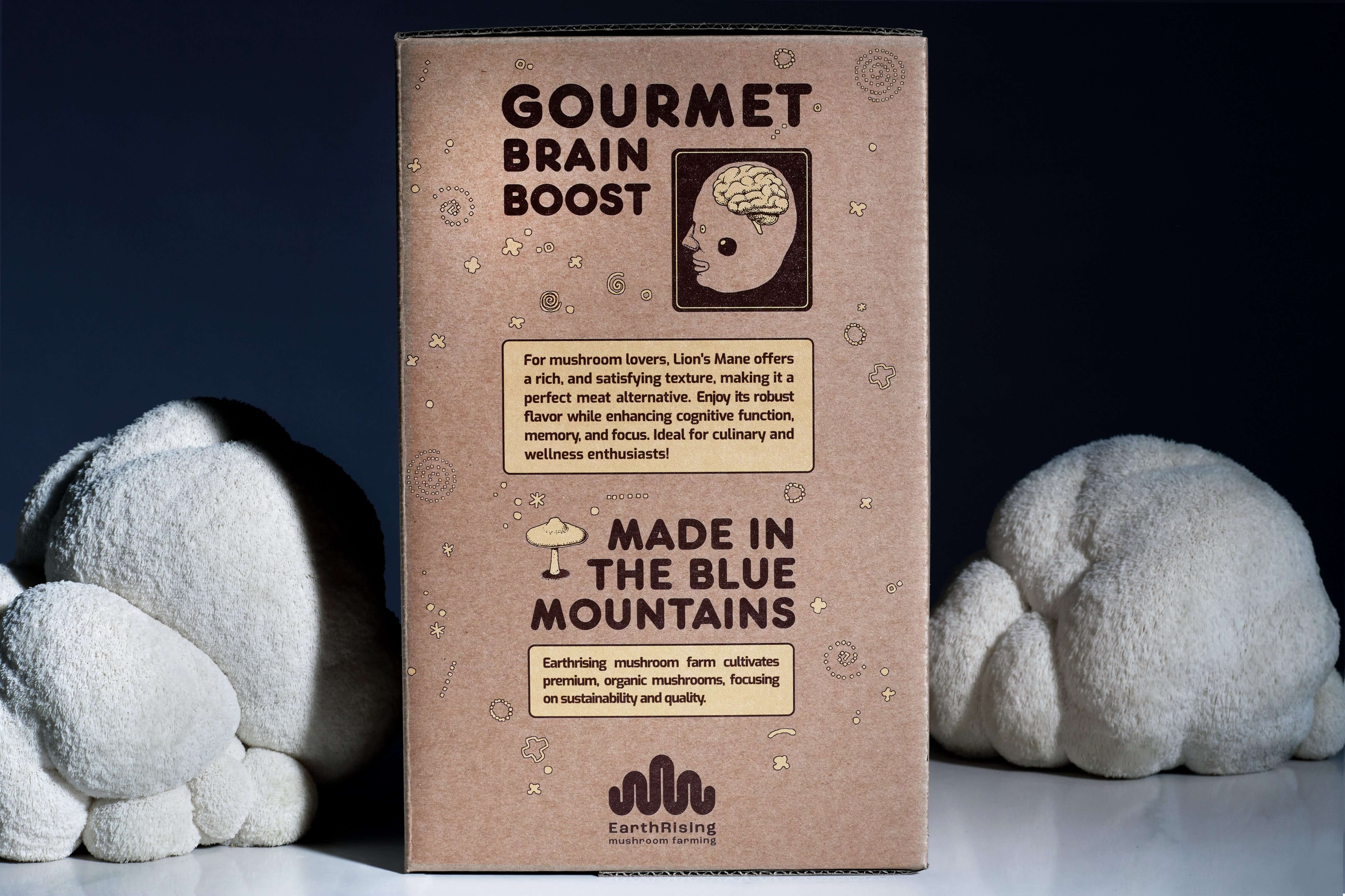 Lion's Mane grow kit