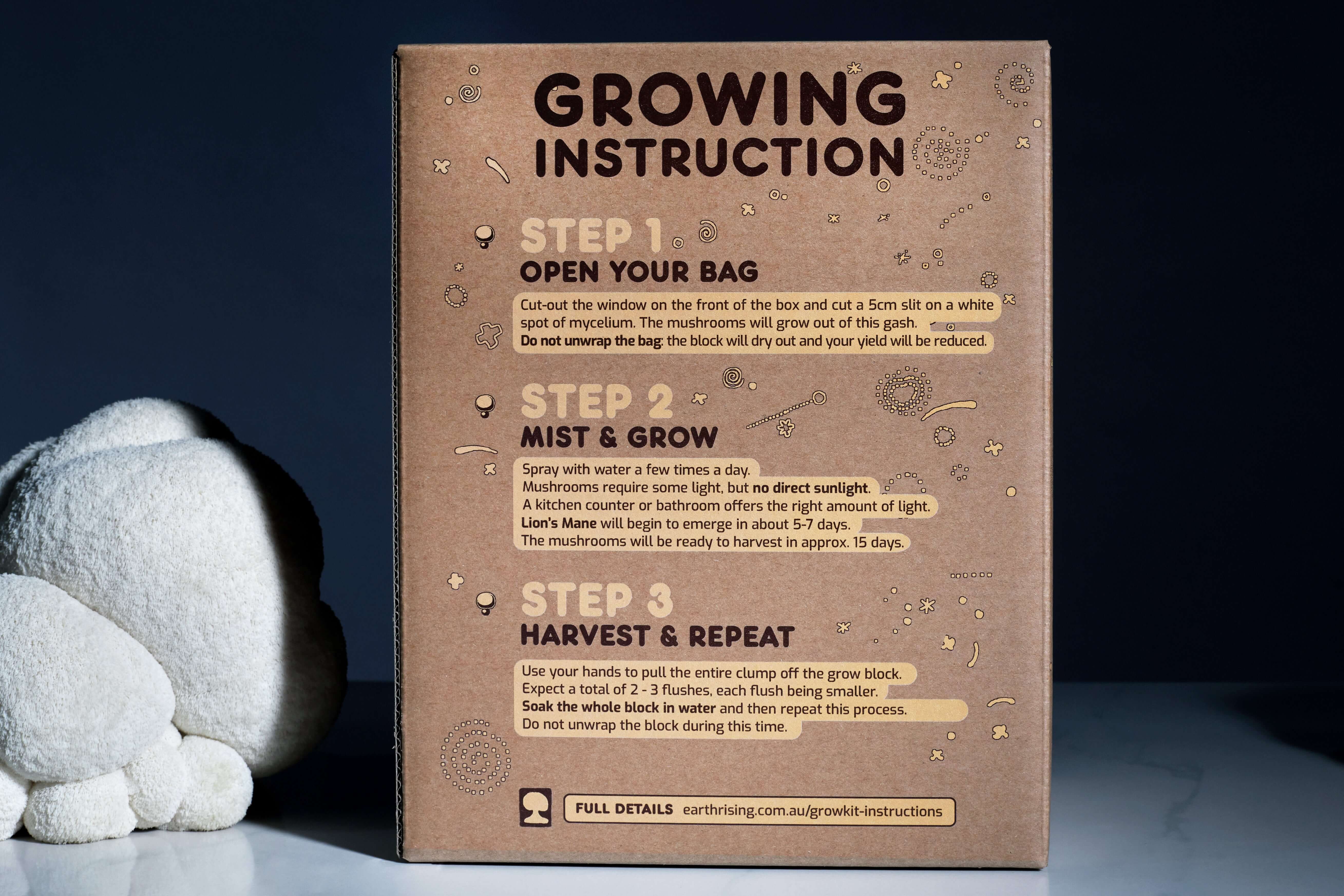 Lion's Mane grow kit