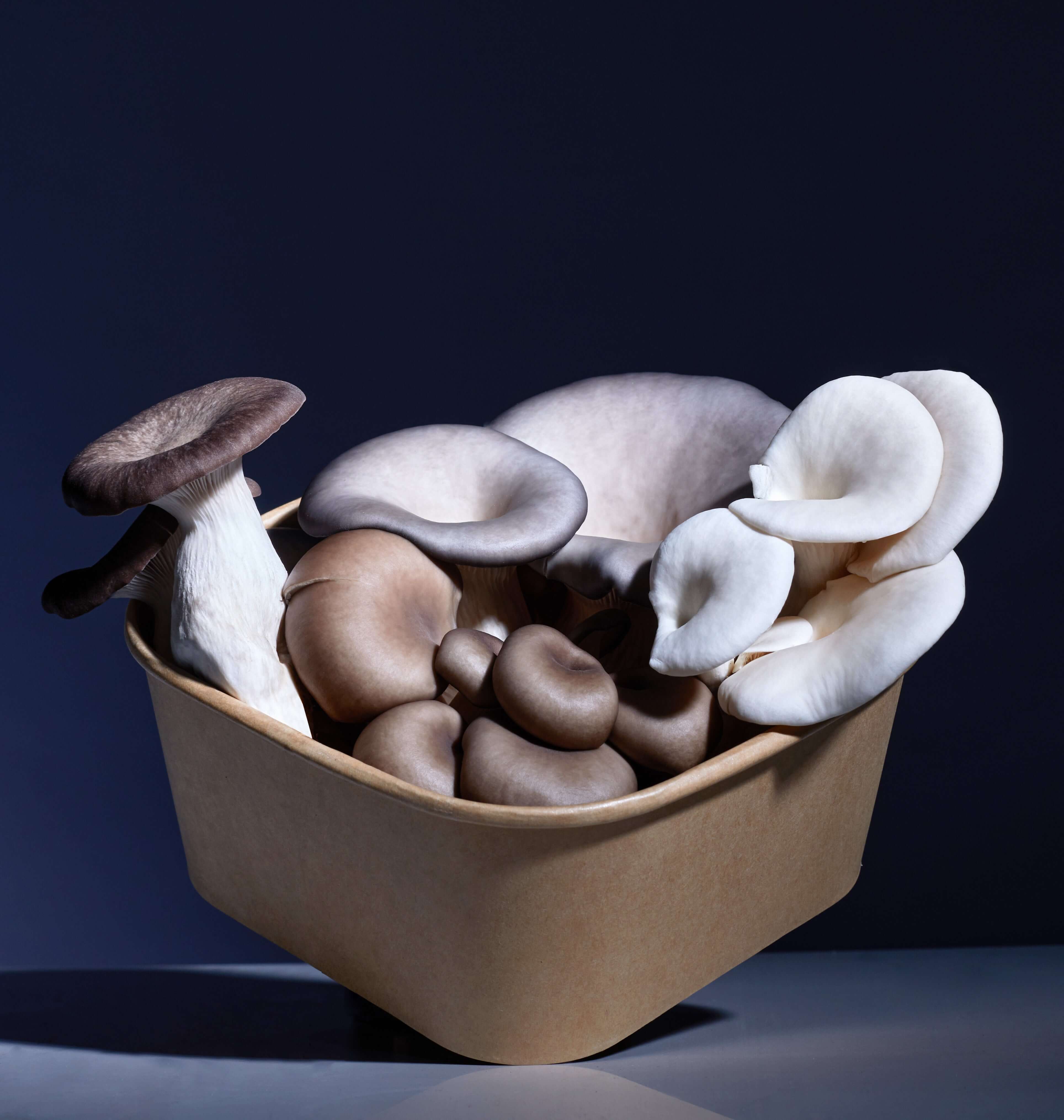 Fresh Oyster Mushroom Mix