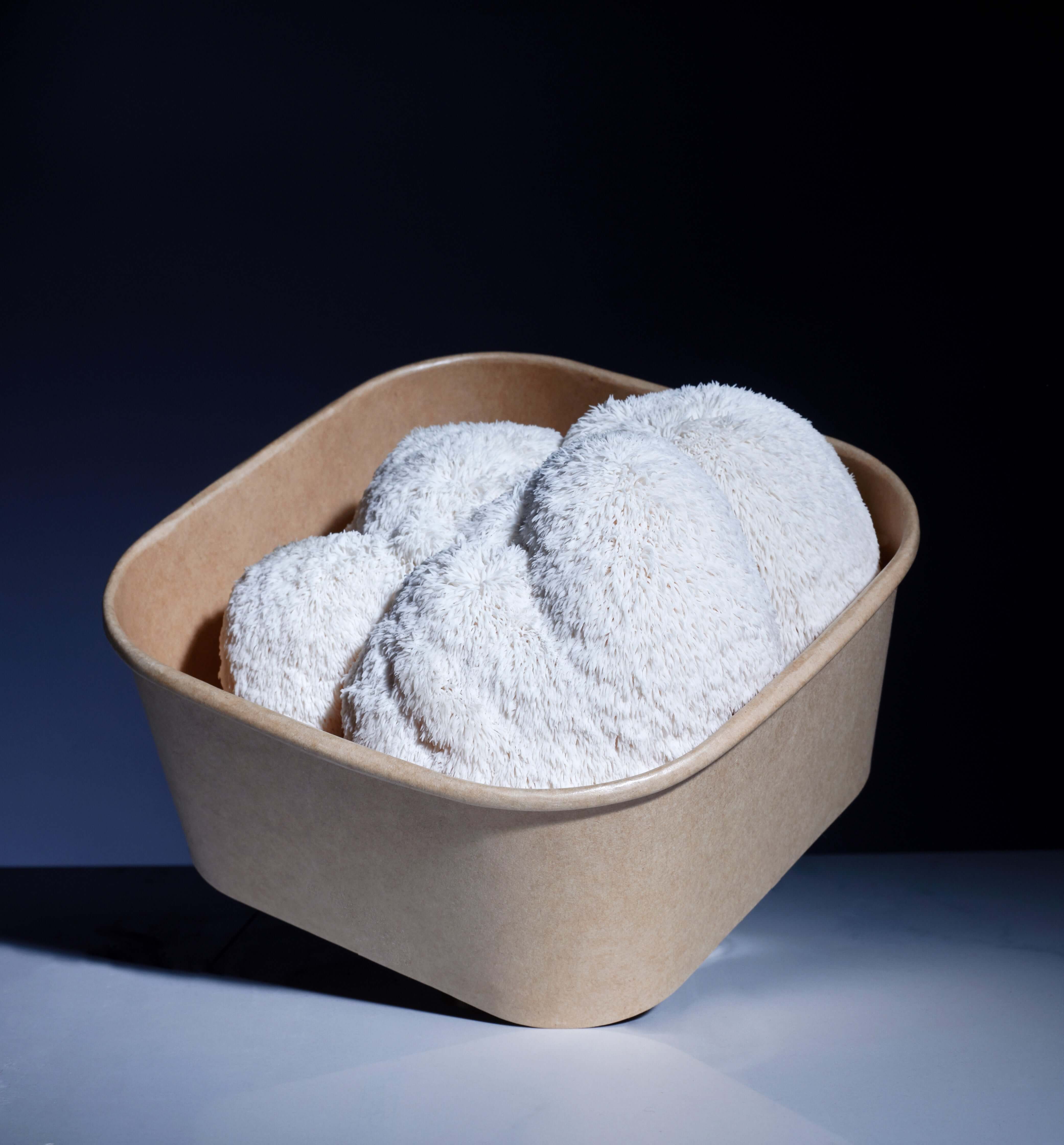Fresh Lion's Mane Mushroom box