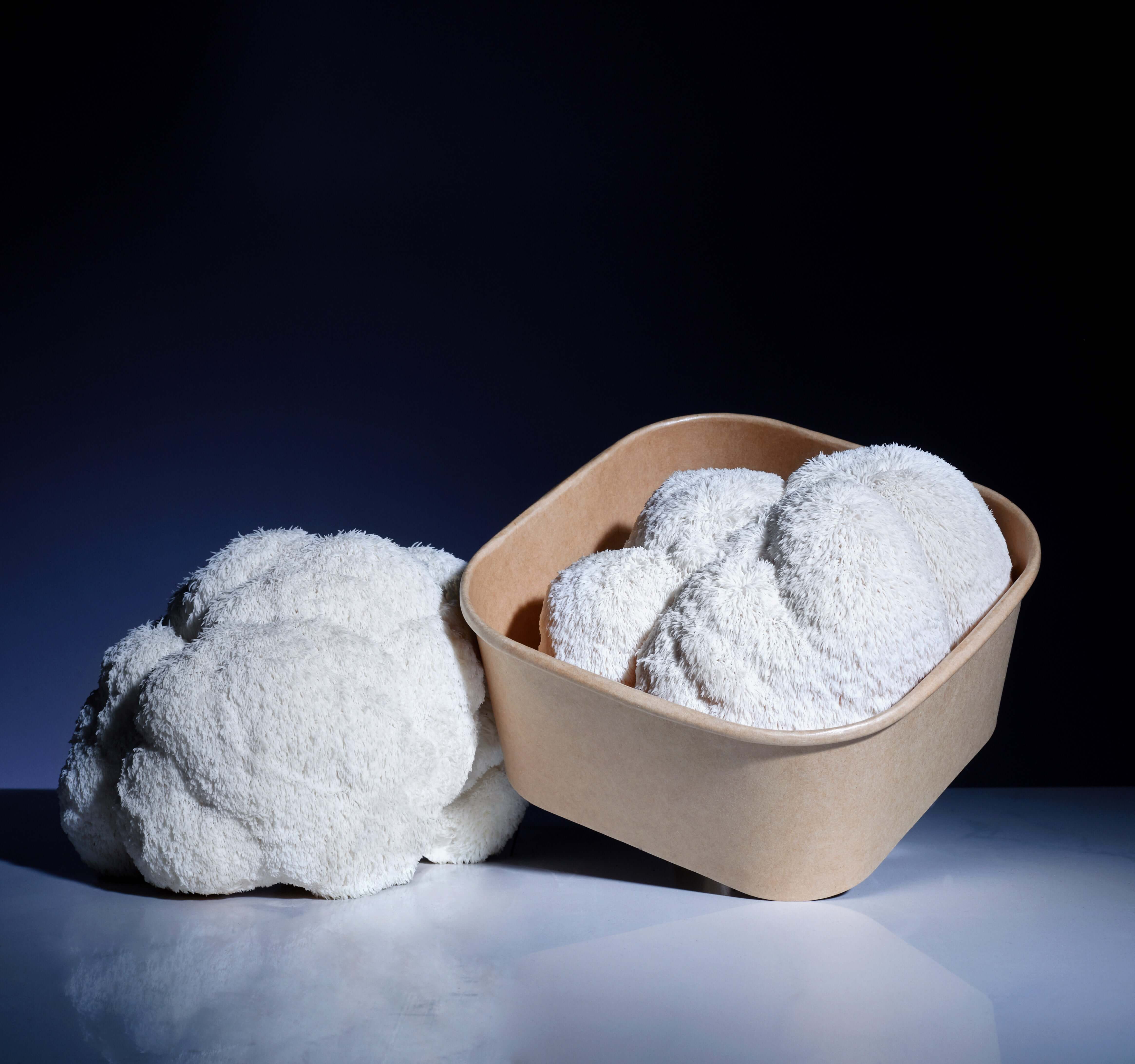 Fresh Lion's mane Mushrooms