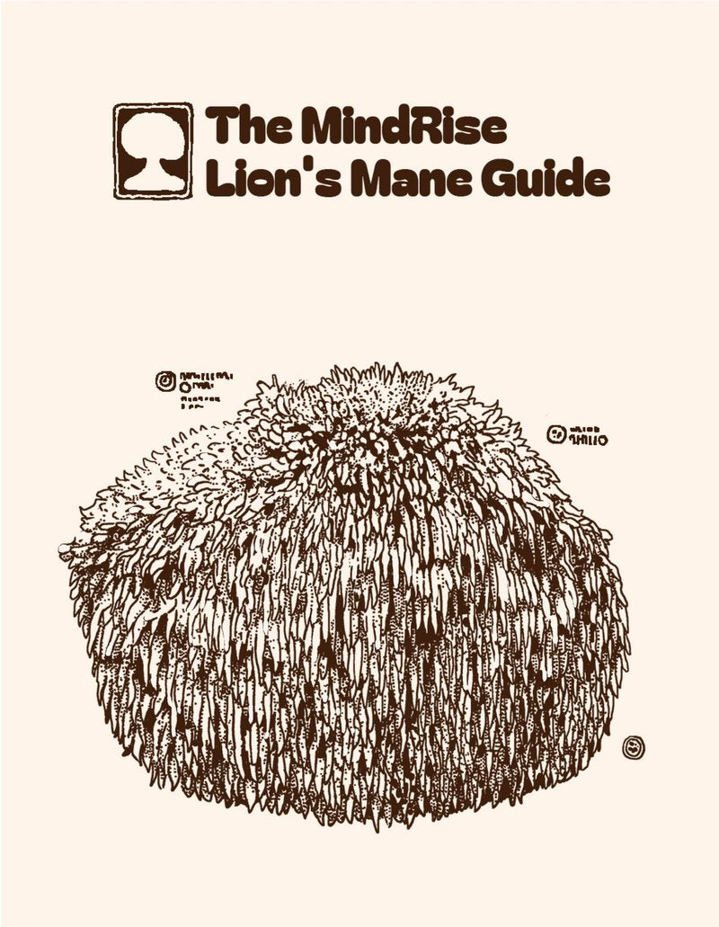 Cover of The MindRise Lion's Mane Guide