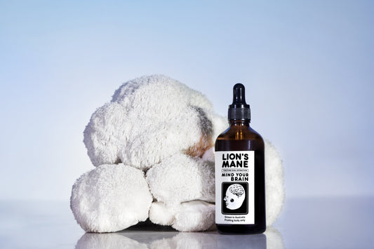 Top 7 Mushroom Nootropics to Boost Focus in 2026