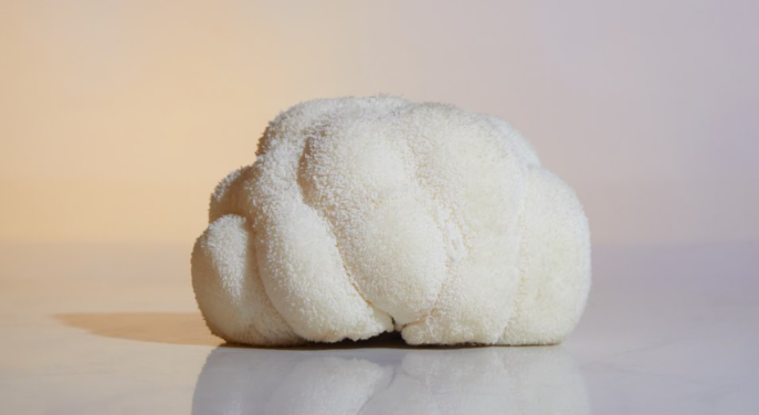 7 Essential Mushroom for Brain Health Tips for 2026