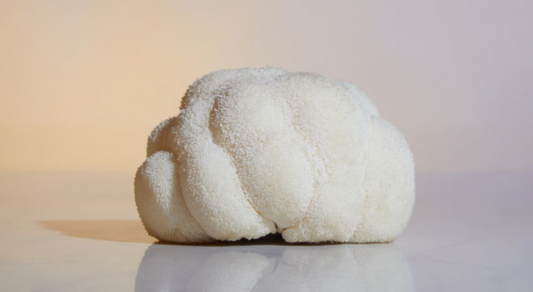 Lions Mane For ADHD Guide: Natural Support Insights 2026