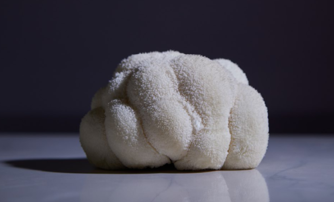 Lions Mane ADHD Guide: Natural Insights for 2026