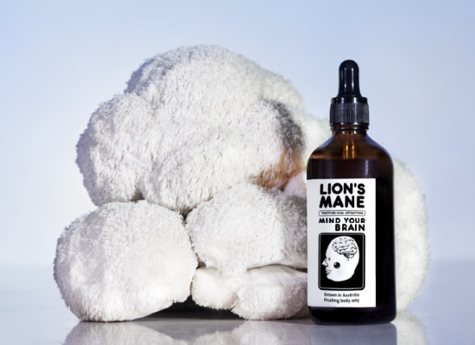 Lions Mane Extract Guide: Benefits, Uses & Tips for 2026