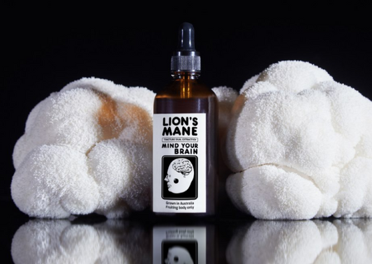 Essential Guide to Mushroom Extract: Benefits & Uses 2026