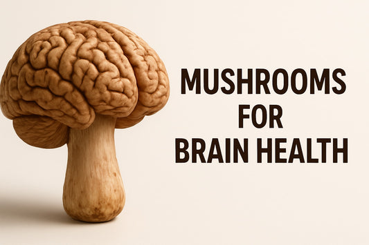 7 Essential Mushroom for Brain Health Tips for 2026