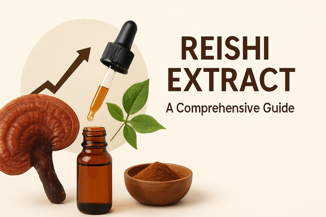 Comprehensive Guide to Reishi Extract Benefits 2026