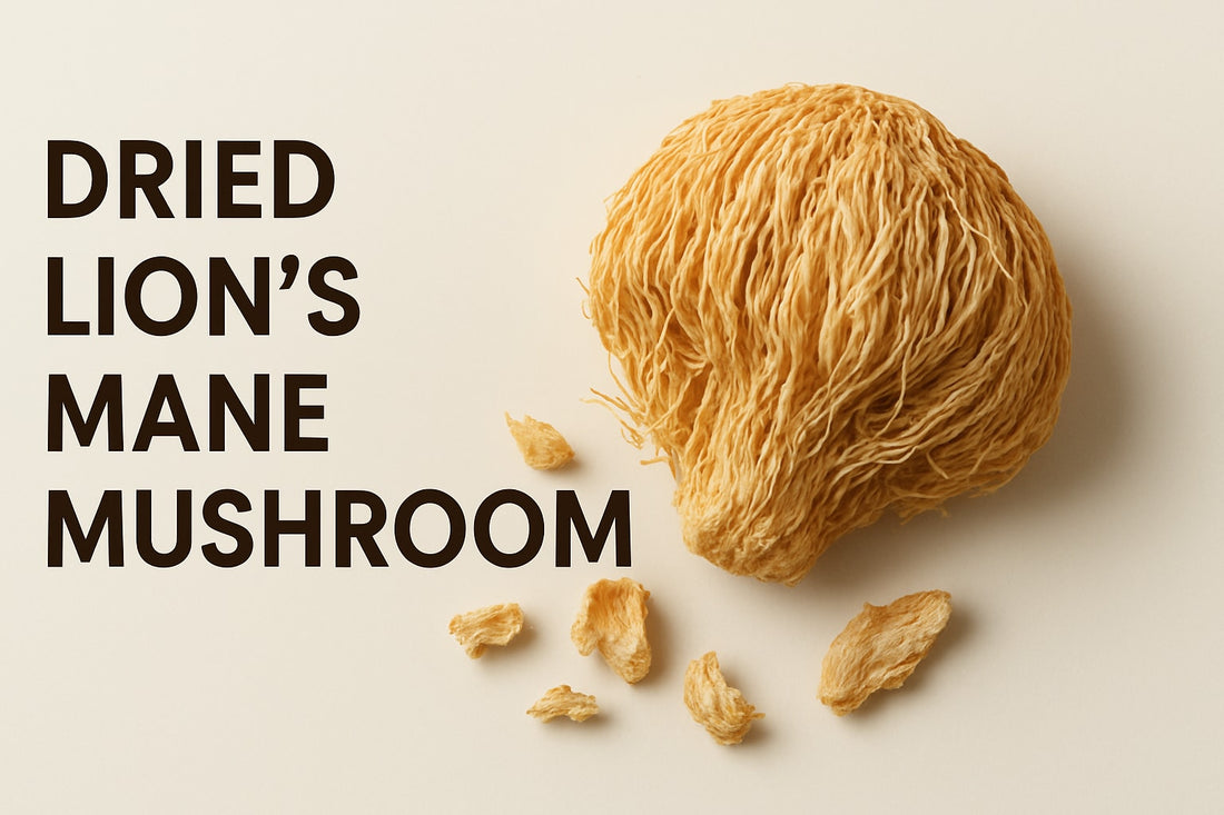 Dried Lions Mane Mushroom Guide: Benefits & Uses 2026