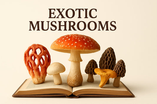Exotic Mushrooms Guide: Explore Rare Flavours in 2026