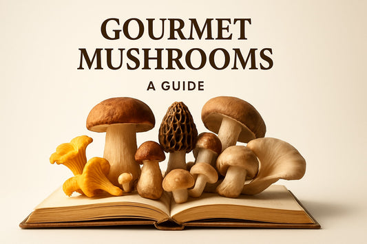 Gourmet Mushrooms Guide: Explore Flavours and Cooking Tips 2026