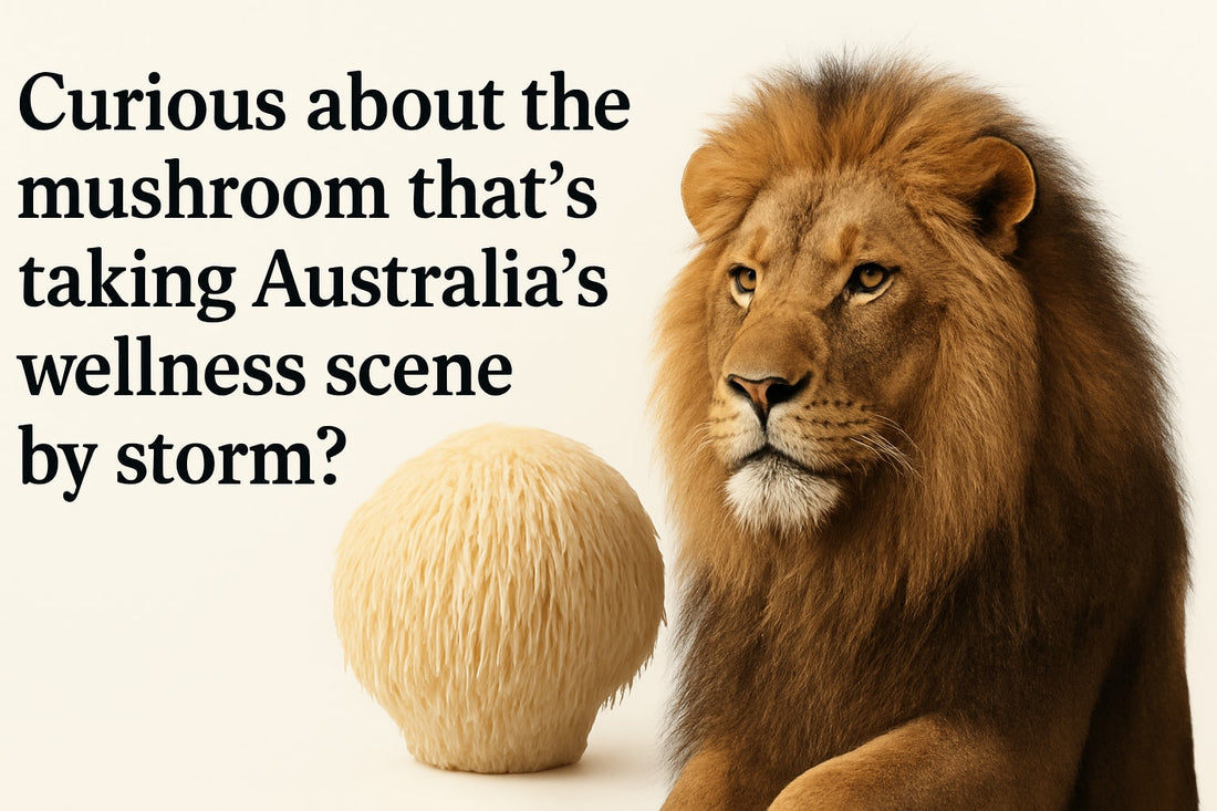 Lions Mane Australia Guide: Discover Benefits and Uses 2026