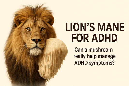 Lions Mane For ADHD Guide: Natural Support Insights 2026