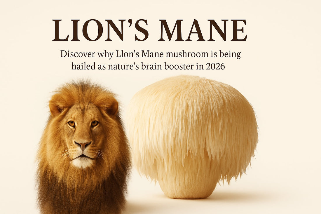 Lions Mane Real Mushrooms Guide: Unlocking Natural Benefits 2026