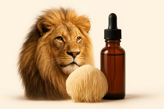 Lions Mane Tincture Guide: Benefits, Uses & Tips 2026