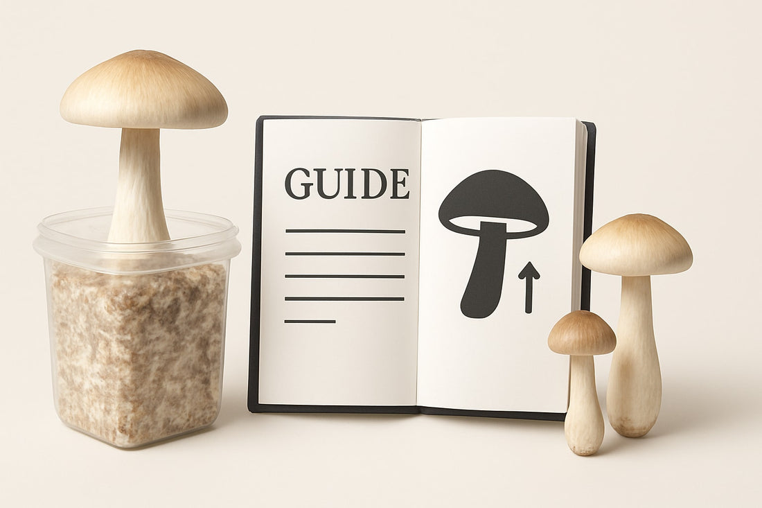 Mushroom Growing Kit Guide: Expert Tips for 2026 Success