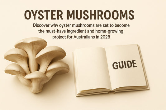 Oyster Mushrooms Guide: Growing, Cooking & Benefits 2026