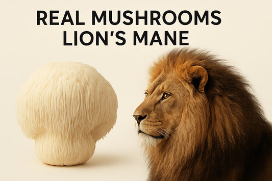 Real Mushrooms Lions Mane Guide: Unlock Benefits in 2026