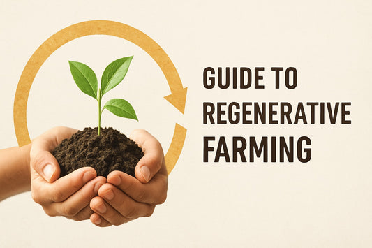Regenerative Farming Guide: Sustainable Practices for 2026