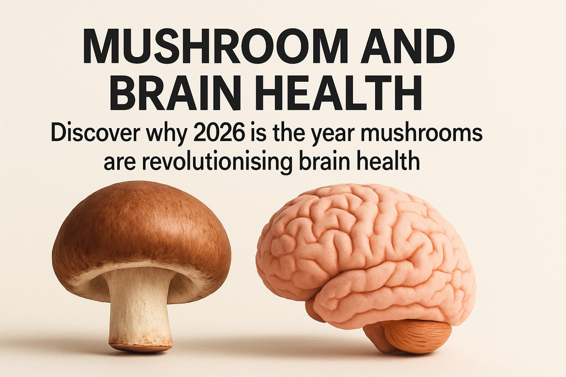 Ultimate Guide to Mushroom and Brain Health in 2026