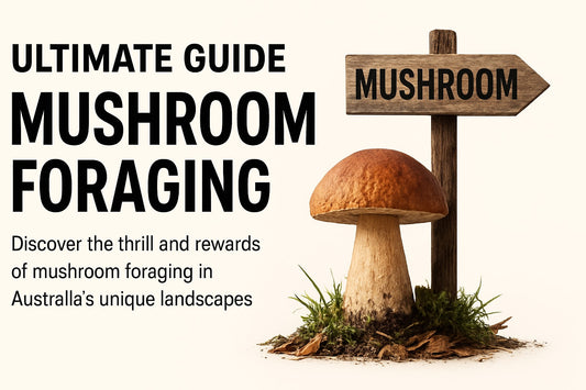 Ultimate Guide to Mushroom Foraging in Australia 2026