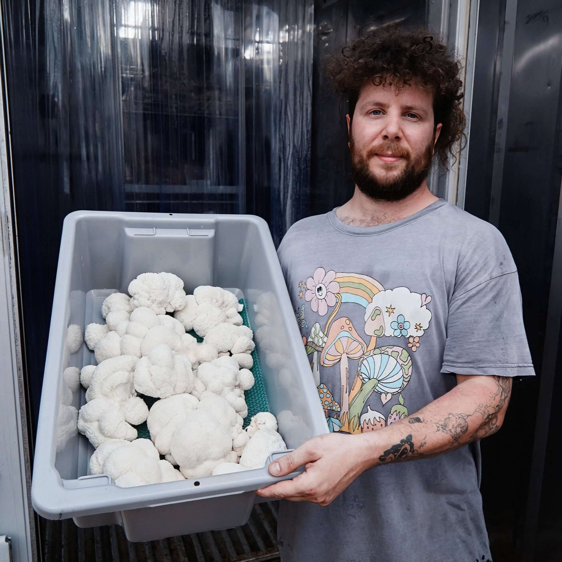 Lion's Mane Extract