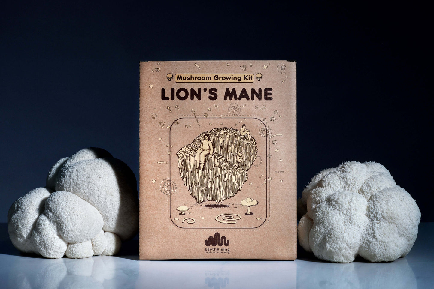 Lion's Mane grow kit