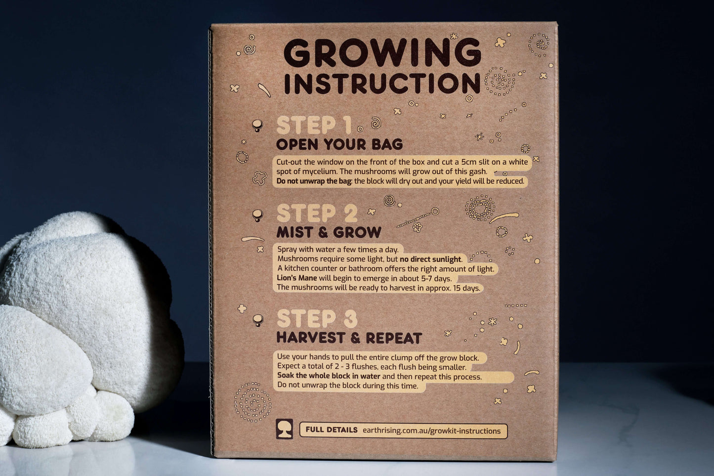 Lion's Mane grow kit