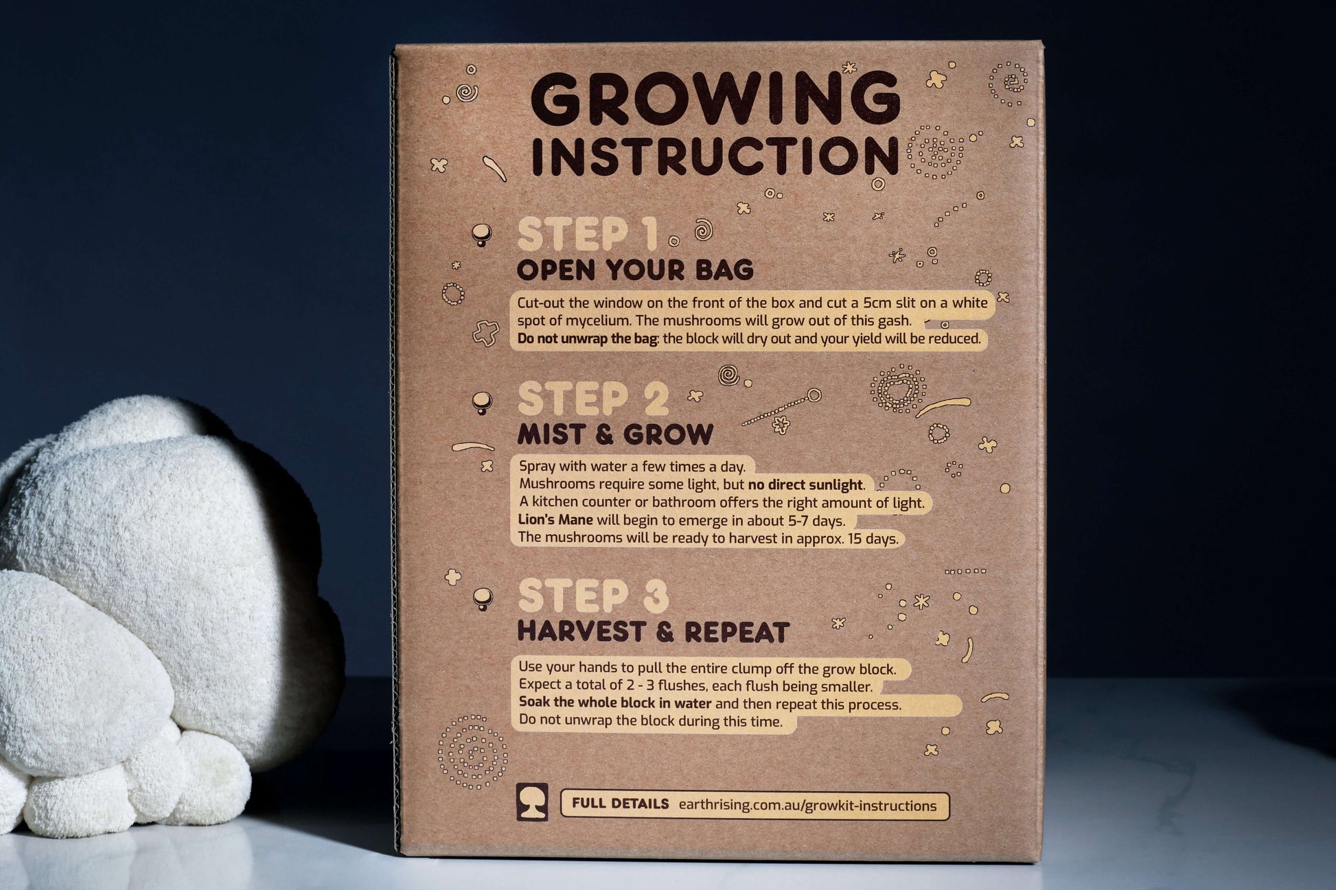 Lion's Mane grow kit