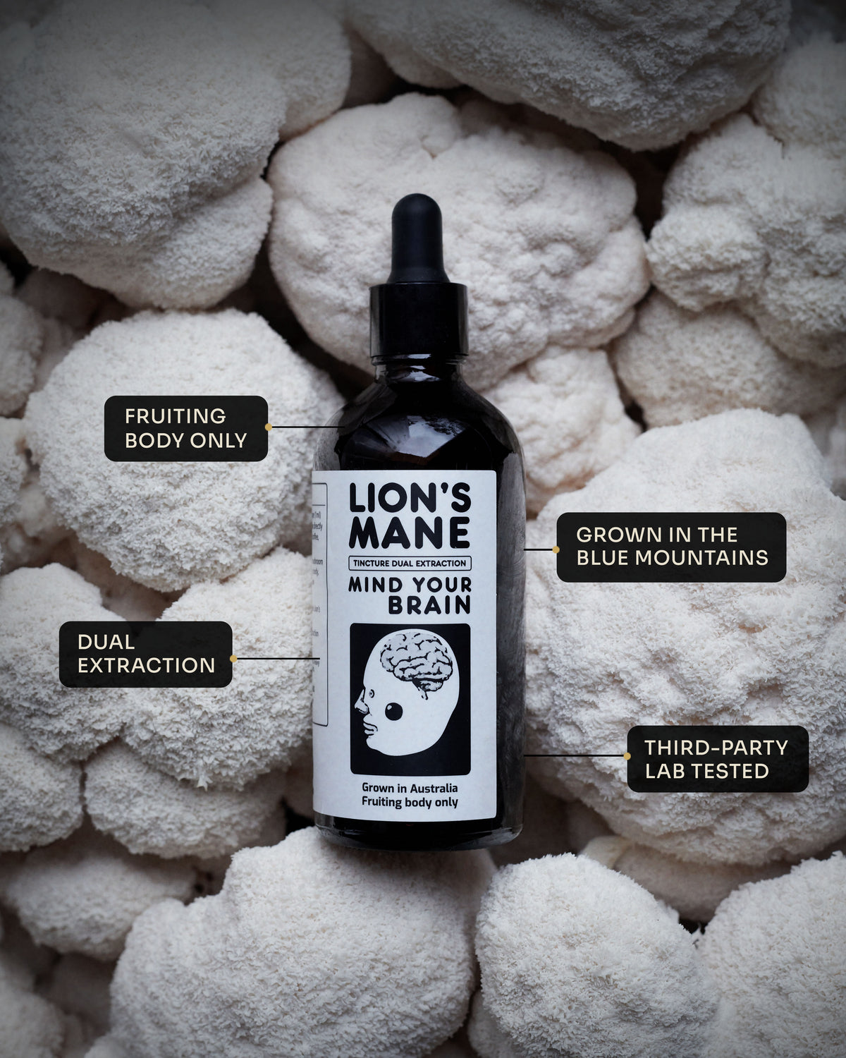 MindRise Lion's Mane Extract bottle on a bed of fresh Lion's Mane mushrooms