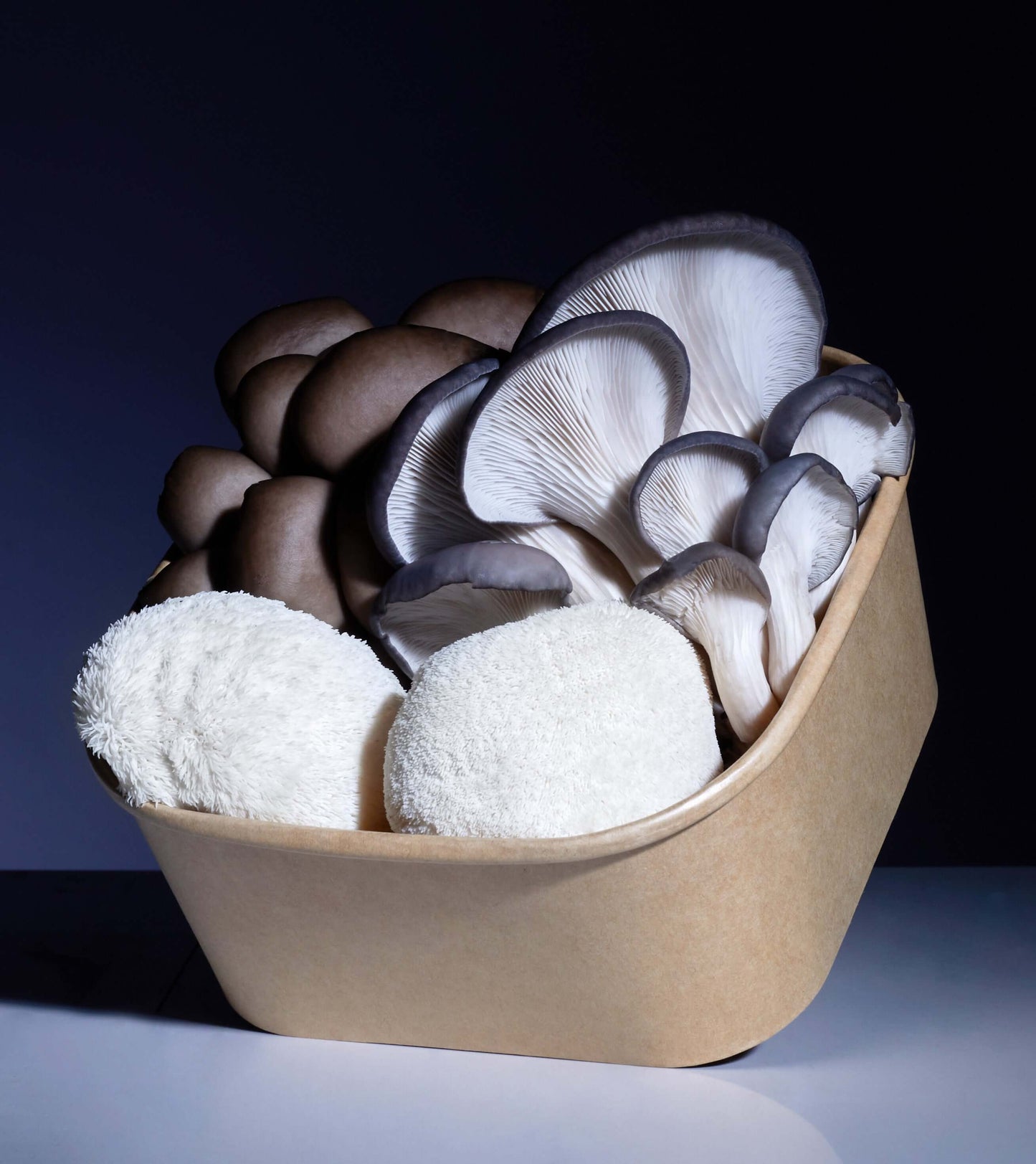 Fresh Oyster and Lion's Mane Mushroom 