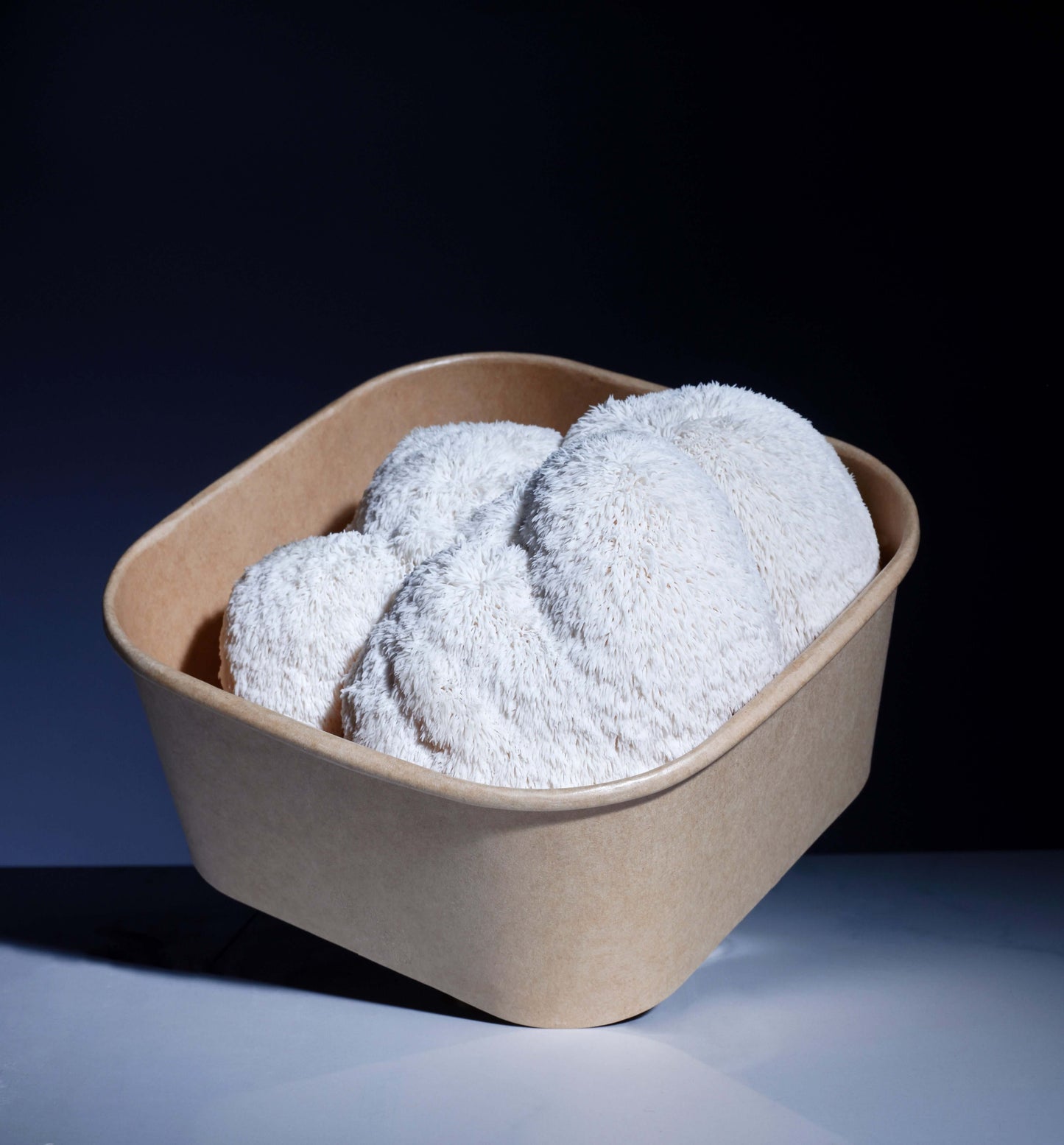 Fresh Lion's Mane Mushroom box