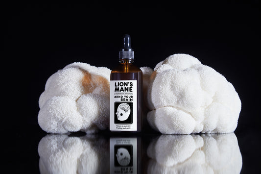 Lion's Mane Extract