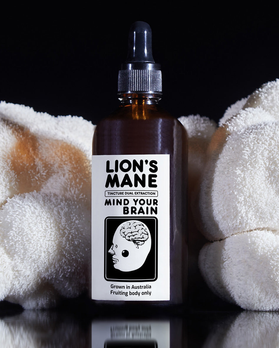 MindRise Lion's Mane Extract dropper bottle with the Mind Your Brain label, between fresh Lion's Mane mushrooms