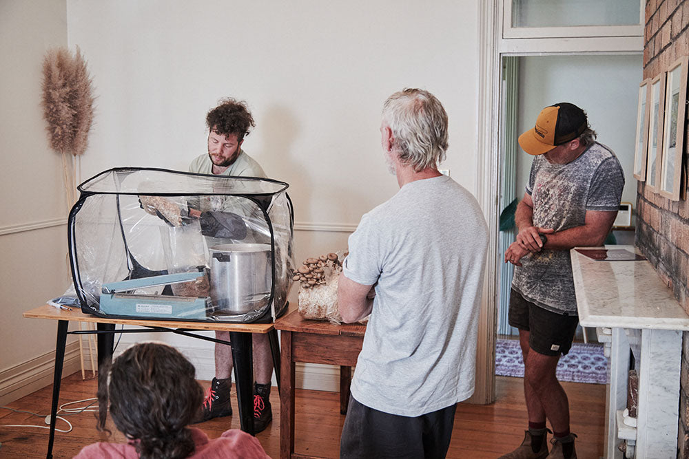 Mushroom Cultivation Workshop