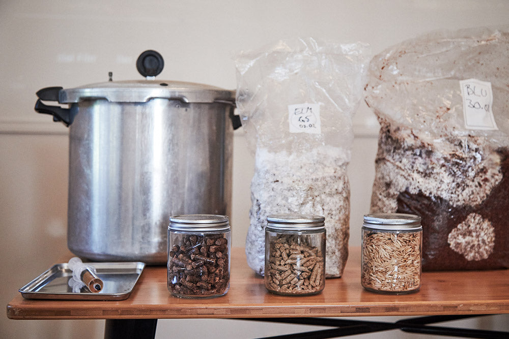 Mushroom Cultivation Workshop