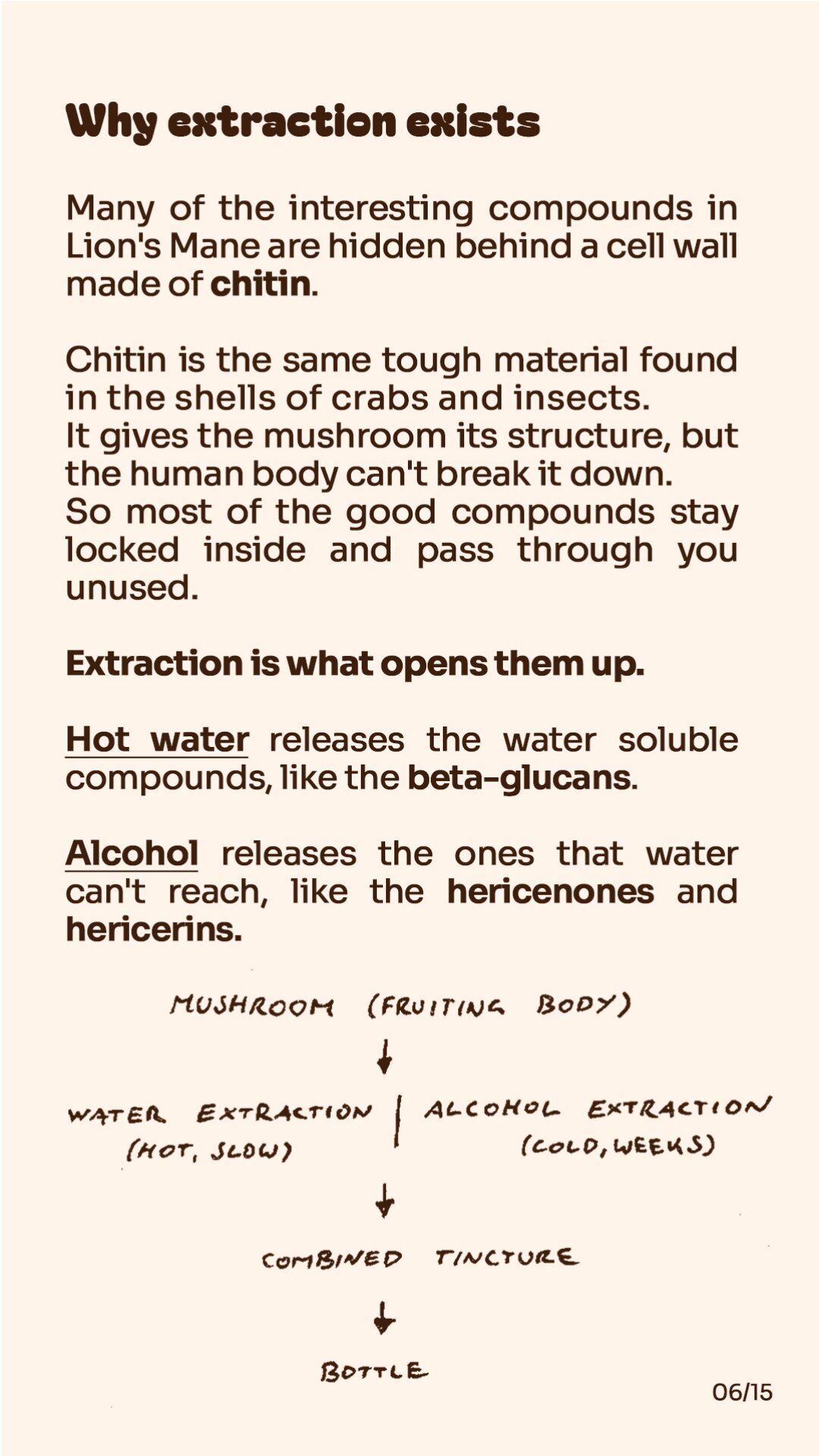 Hand-drawn diagram: mushroom (fruiting body), then water extraction (hot, slow) and alcohol extraction (cold, weeks), combined into one tincture, then the bottle