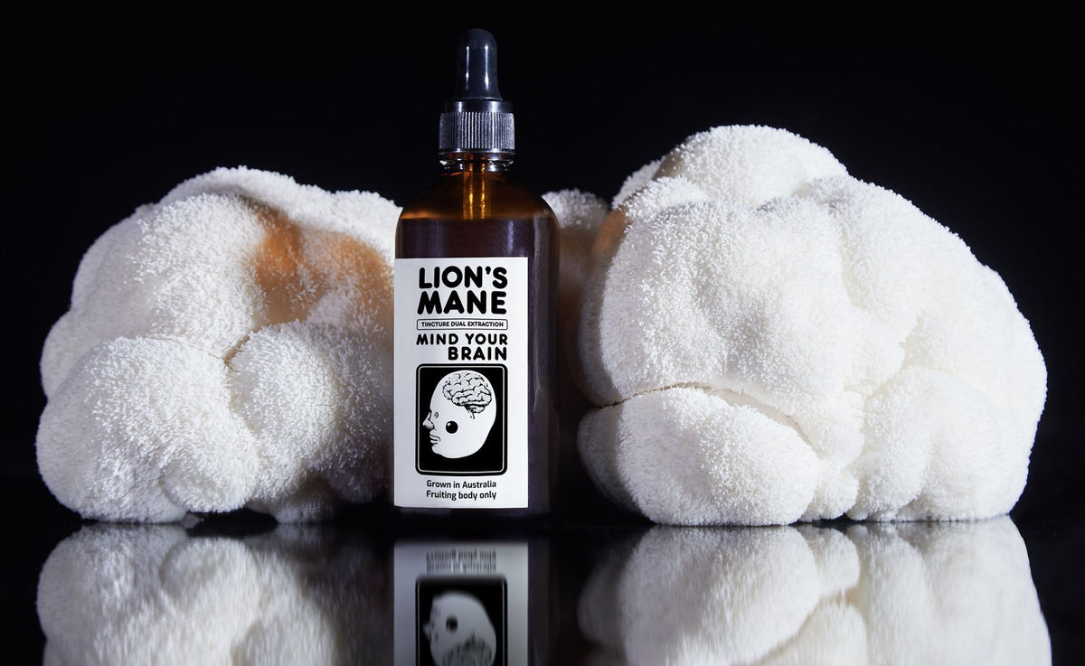 MindRise Lion's Mane Extract bottle between two fresh Lion's Mane mushrooms, on black